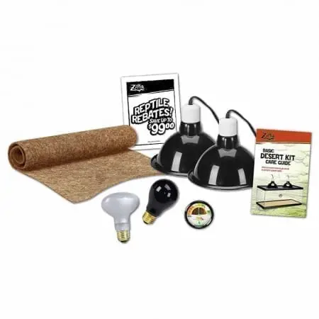 gecko starter kit