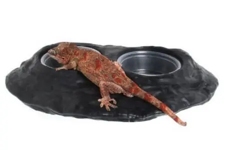Magnetic Gecko Food & Water Dish