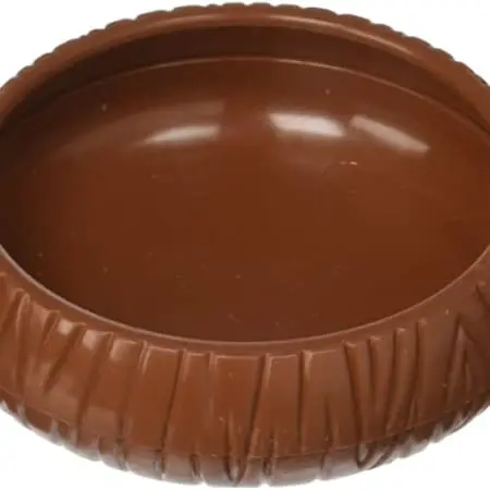 mealworm dish