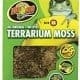 terrarium moss