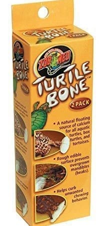 turtle bone