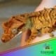 tiger crested gecko