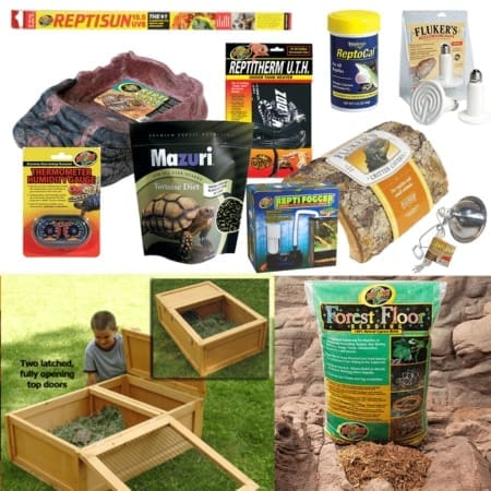 Tortoise table hotsell starter kit
