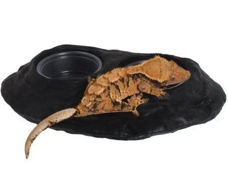 Magnetic Gecko Food & Water Dish