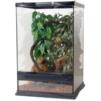 Zoomed Naturalistic Terrarium Small