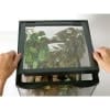 Zoomed Naturalistic Terrarium Small