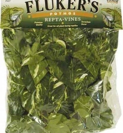 Fluker's Reptile Vines