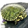 yellow bellied slider turtle