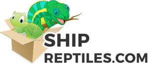 reptile shipping supply