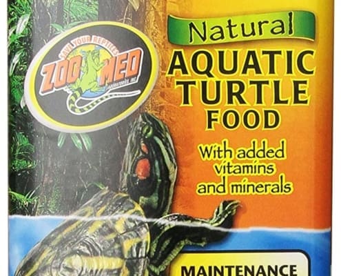 aquatic turtle food