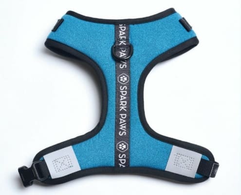 French bulldog harness