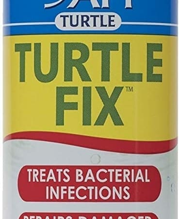 api turtle fix