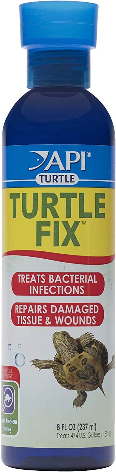 api turtle fix