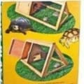 tortoise playpen