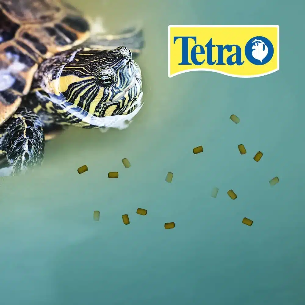 Tetra ReptoMin Pro Baby Turtle Food Sticks for sale